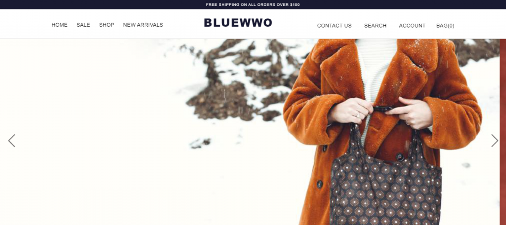 Bluewwo Online Store image