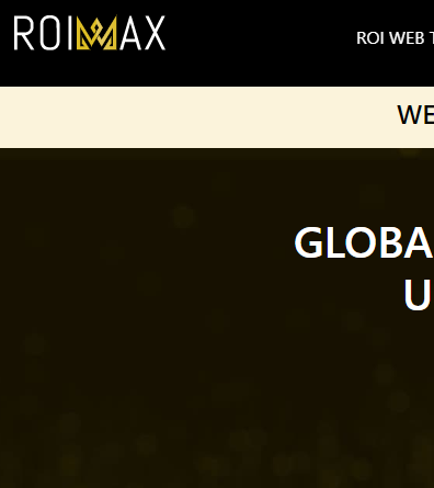 Roimax Landing Page