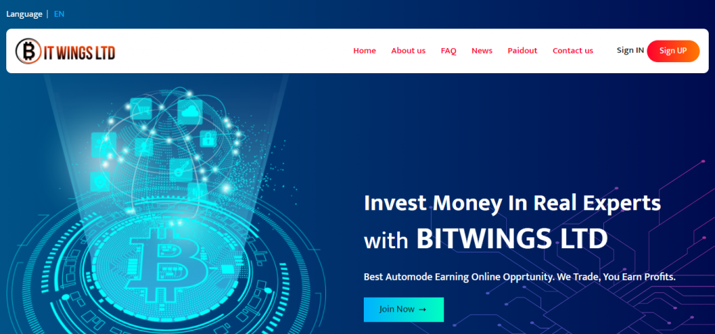 Bitwings Review