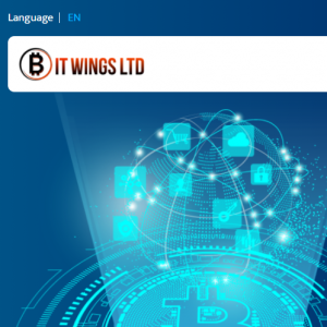 Bitwings Review