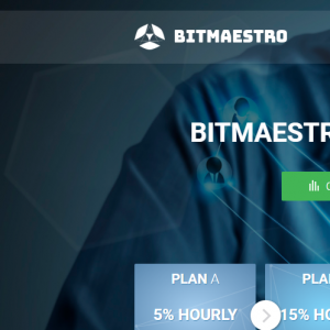 Bitmaestro Review