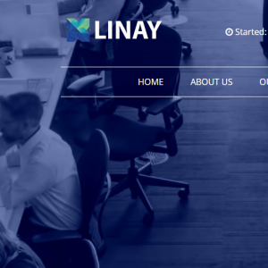 Linay Review