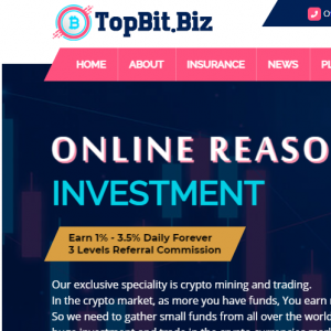 Topbit Review