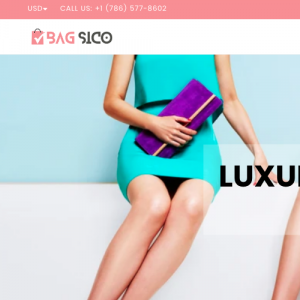 Bagsico Homepage