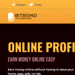 Bitbond Review