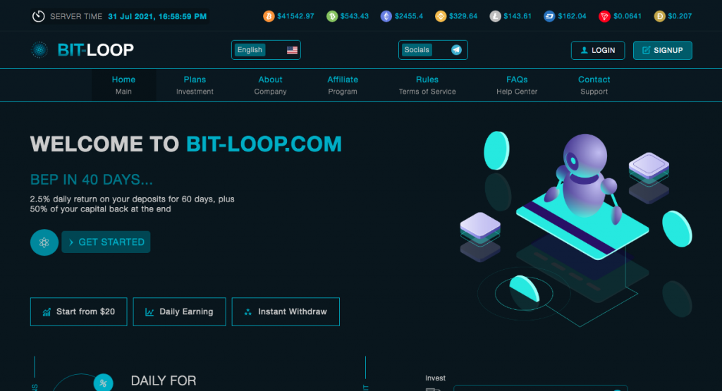 Bit-loop Review