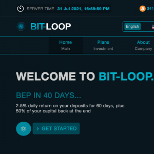 Bit-loop Review