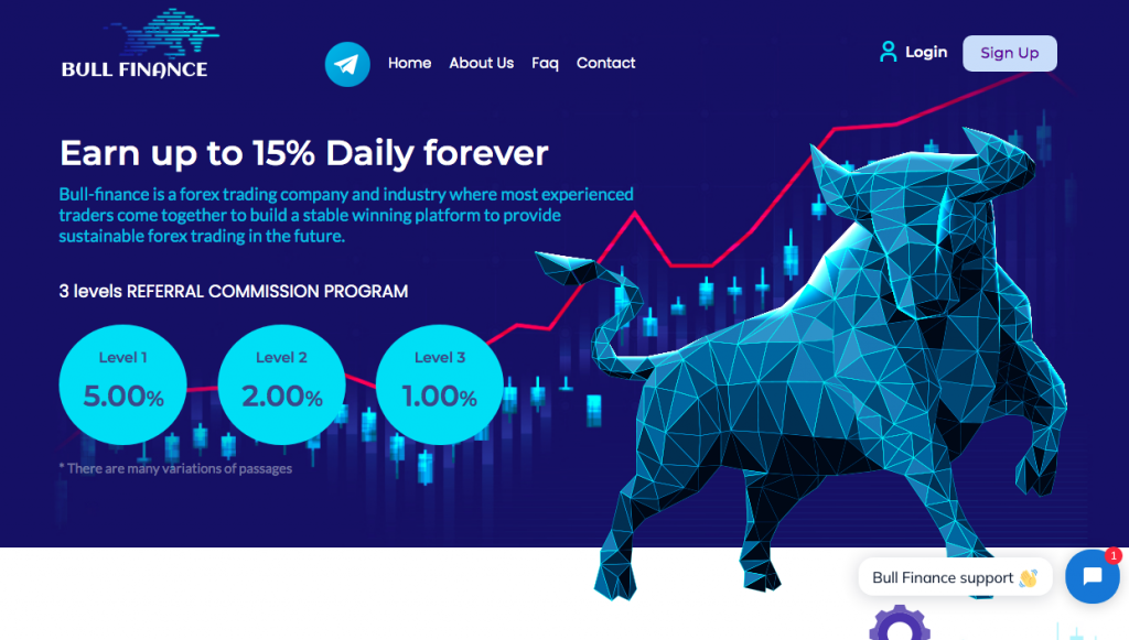 Bull-finance Review