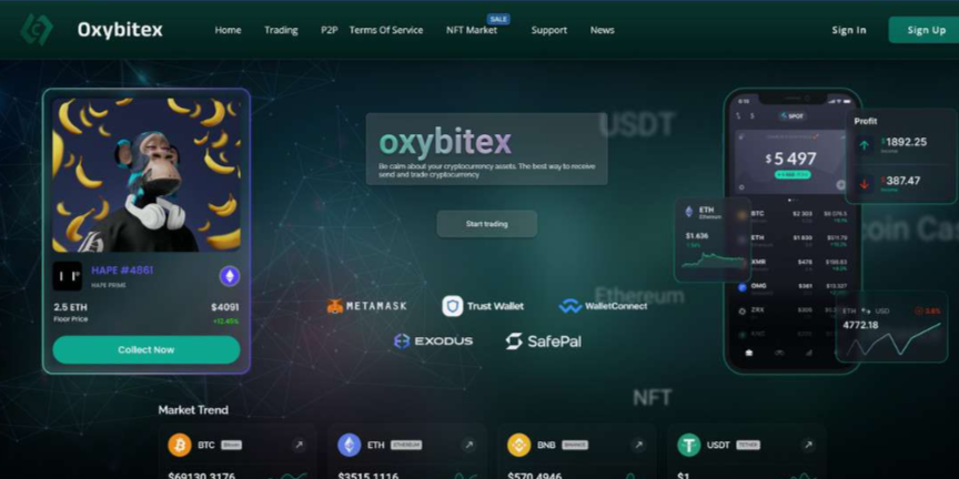 Oxybitex.com Image 